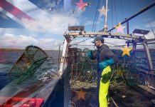 Brexit news: UK to gain MILLIONS in ‘win, win’ for British fishing industry | UK | News (Reports)