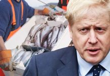 Brexit news: ‘Lying Brexiteers’ warning laid bare amid claim EU to ‘keep UK water access’ | UK | News (Reports)