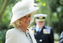 Camilla title: The heartbreaking reason Camilla doesn’t use her Princess title | Royal | News (Reports)