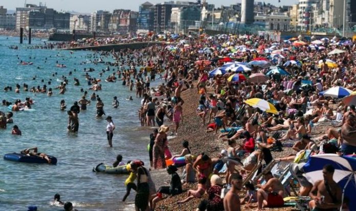 Coronavirus: Express readers lash out at 'complete selfishness' in latest Express poll | UK | News