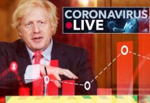 Coronavirus map LIVE: UK second wave panic after grim update – as TRUE death toll exposed | UK | News (Reports)