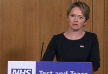 Dido Harding: Who is Tory peer and new head of England’s health body? | UK | News (Reports)