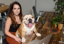 Dogs head to the office! Waggy-tailed workers to join in big return | UK | News (Reports)