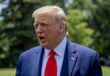 Donald Trump Raked In Over $1.7 Million For ‘The Apprentice,’ SAG-AFTRA Pension In 2019, Financial Disclosure Report Shows – (Reports) Donald Trump Suggests Delaying The November Election, A Decision That Is Up To Congress