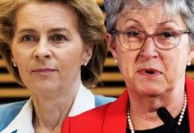 EU at risk of collapse? Gisela Stuart unravels Brussels’ key to survival | UK | News (Reports)