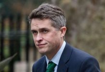 Gavin Williamson faces sack as Tory peer claims ‘blood will be let’ over exam results mess | UK | News (Reports)