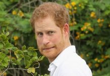 Harry’s humiliation over Meghan honeymoon exposed: ‘We were told not to mention her’ | Royal | News (Reports)