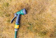 Hosepipe ban news: MPs urge ban to be enforced as concerns over drought grow | UK | News (Reports)