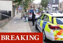 London stabbing: Police restrain man and rush him to hospital after knife attack in Brent | UK | News (Reports)