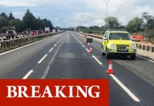 M4 traffic latest: M4 closed after incident – police ask drivers to find alternate route | UK | News (Reports)