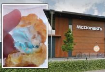 McDonald’s nugget horror: Aldershot girl, 6, chokes on blue face mask found inside chicken | UK | News (Reports)