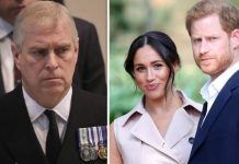 Meghan Markle, Prince Harry and Prince Andrew ‘should have titles removed’ says politician | Royal | News (Reports)