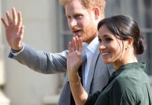 Meghan Markle and Harry name change: Taken Windsor dynasty name for commercial use– expert | Royal | News (Reports)