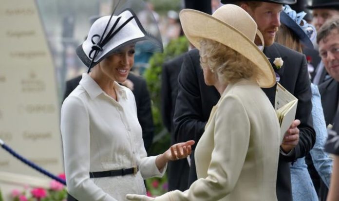 Meghan Markle told to ‘ride out the storm’ by Camilla – but Meghan ‘didn't listen’ | Royal | News