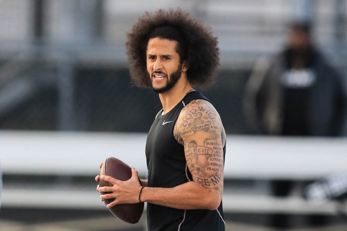 Navy investigating video of dogs attacking Kaepernick fill-in