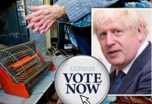 POLL: Should Boris Johnson scrap the winter fuel allowance for pensioners? VOTE HERE | UK | News (Reports)