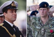 Prince Andrew and Prince Harry’s military careers ‘different in crucial way’ | Royal | News (Reports)