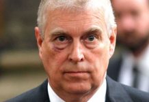 Prince Andrew ‘perfect’ target for Jeffrey Epstein as billionaire offered royal ‘escapism’ | Royal | News (Reports)