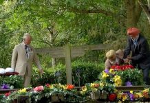 Prince Charles rushes to help WW2 veteran as he stumbles laying a wreath at VJ Day service | Royal | News (Reports)