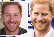 Prince Harry and Meghan: Harry shows cheeky side in first video call from Santa Barbara | Royal | News (Reports)