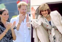 Prince Harry and Meghan Markle ‘taking over from Princess Diana’ with Megxit | Royal | News (Reports)