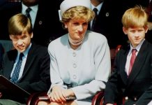 Prince Harry and Prince William feud: Diana’s bodyguard exposes heartbreaking side to rift | Royal | News (Reports)