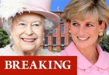 Prince Harry and Prince William issue rare joint statement over Princess Diana’s legacy | Royal | News (Reports)