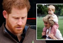 Prince Harry heartbreak: Duke to return to UK on THIS date after poignant announcement | Royal | News (Reports)