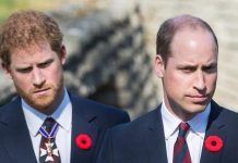 Prince Harry news: Duke and William to break TRAGIC Princess Diana anniversary tradition | Royal | News (Reports)