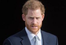 Prince Harry news: Duke of Sussex caught using Americanisms in heartfelt plea | Royal | News (Reports)