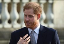 Prince Harry news: Duke of Sussex ‘unbelievably fortunate’ for new Santa Barbara garden | Royal | News (Reports)