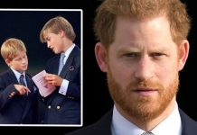 Prince Harry news: Duke’s distance from Prince William after rift ‘is going to hurt’ | Royal | News (Reports)