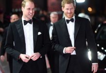 Prince Harry news: Harry and William ‘did not speak’ for months after royal exit news | Royal | News (Reports)