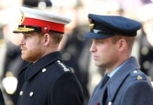 Prince Harry news: Harry is trying to make amends with Prince William | Royal | News (Reports)