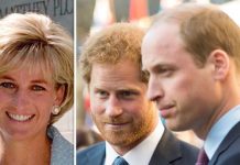 Prince Harry news: How Duke confessed William was ‘huge support for Diana grief’ | Royal | News (Reports)