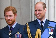 Prince Harry news: Royal sources say Prince William ‘feud’ must end to save monarchy | Royal | News (Reports)