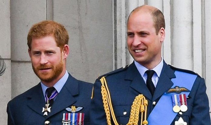 Prince Harry news: Royal sources say Prince William ‘feud’ must end to save monarchy | Royal | News