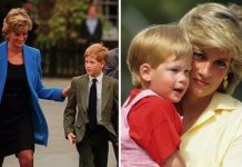 Prince Harry news: ‘Very poignant comment’ young prince made before Diana’s death | Royal | News (Reports)