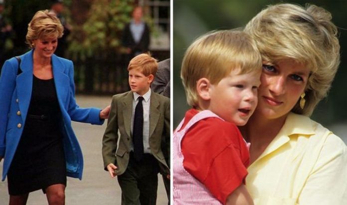 Prince Harry news: 'Very poignant comment' young prince made before Diana's death | Royal | News
