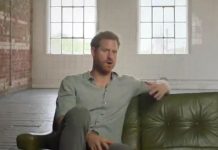 Prince Harry to star in major Netflix documentary – heartbreaking interview released | Royal | News (Reports)