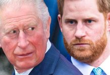 Prince Harry’s ‘catastrophic’ disregard for royal protocol ‘went down like lead balloon’ | Royal | News (Reports)