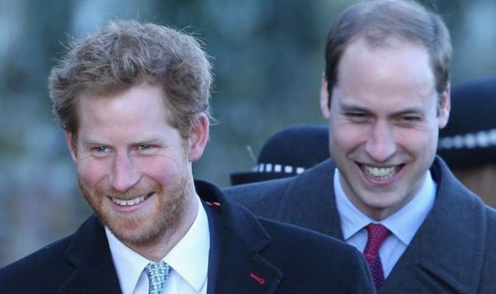 Prince William and Harry UNITED in heartbreaking mission - book exposes 'symbolic' gesture | Royal | News