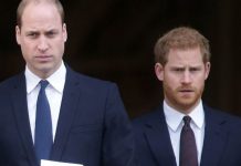 Prince William news: Duke and Harry ‘don’t own Diana’ as expert defends new musical | Royal | News (Reports)