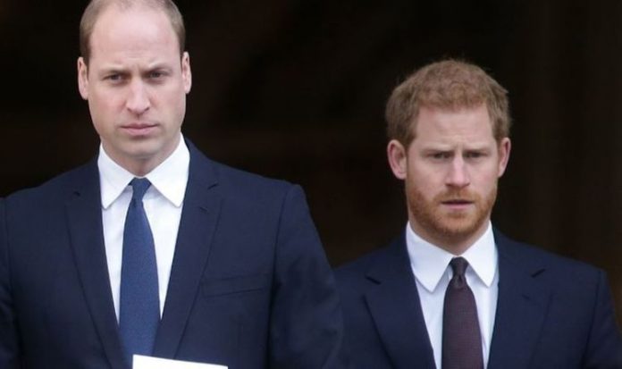 Prince William news: Duke and Harry 'don't own Diana' as expert defends new musical | Royal | News