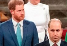 Prince William news: Duke wishes he could take back what he said to Prince Harry | Royal | News (Reports)
