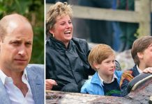 Prince William news: Famous Thorpe Park trip left Duke ‘embarrassed’ of Diana | Royal | News (Reports)