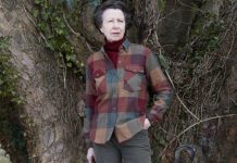 Princess Anne shock: How Anne was first senior royal to be CONVICTED of criminal offence | Royal | News (Reports)
