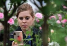 Princess Beatrice heartbreak: Bea confined to new home with Edo after honeymoon disaster | Royal | News (Reports)