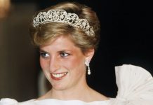 Princess Diana could have solved William and Harry’s royal feud, insider claims | Royal | News (Reports)