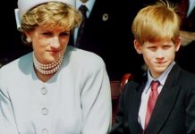 Princess Diana latest news: Prince Harry to find Netflix musical hard says royal expert | Royal | News (Reports)